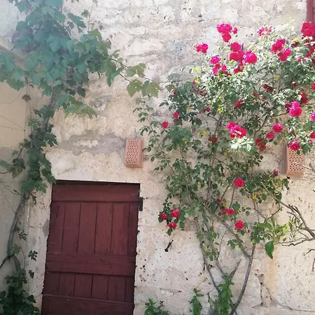 Maison Quercynoise Les Racines De Lili بيت للعطل *