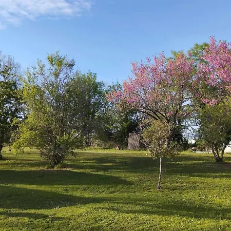 Maison Quercynoise Les Racines De Lili بيت للعطل Cieurac