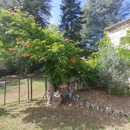 Prázdninový dům Maison Quercynoise Les Racines De Lili Cieurac